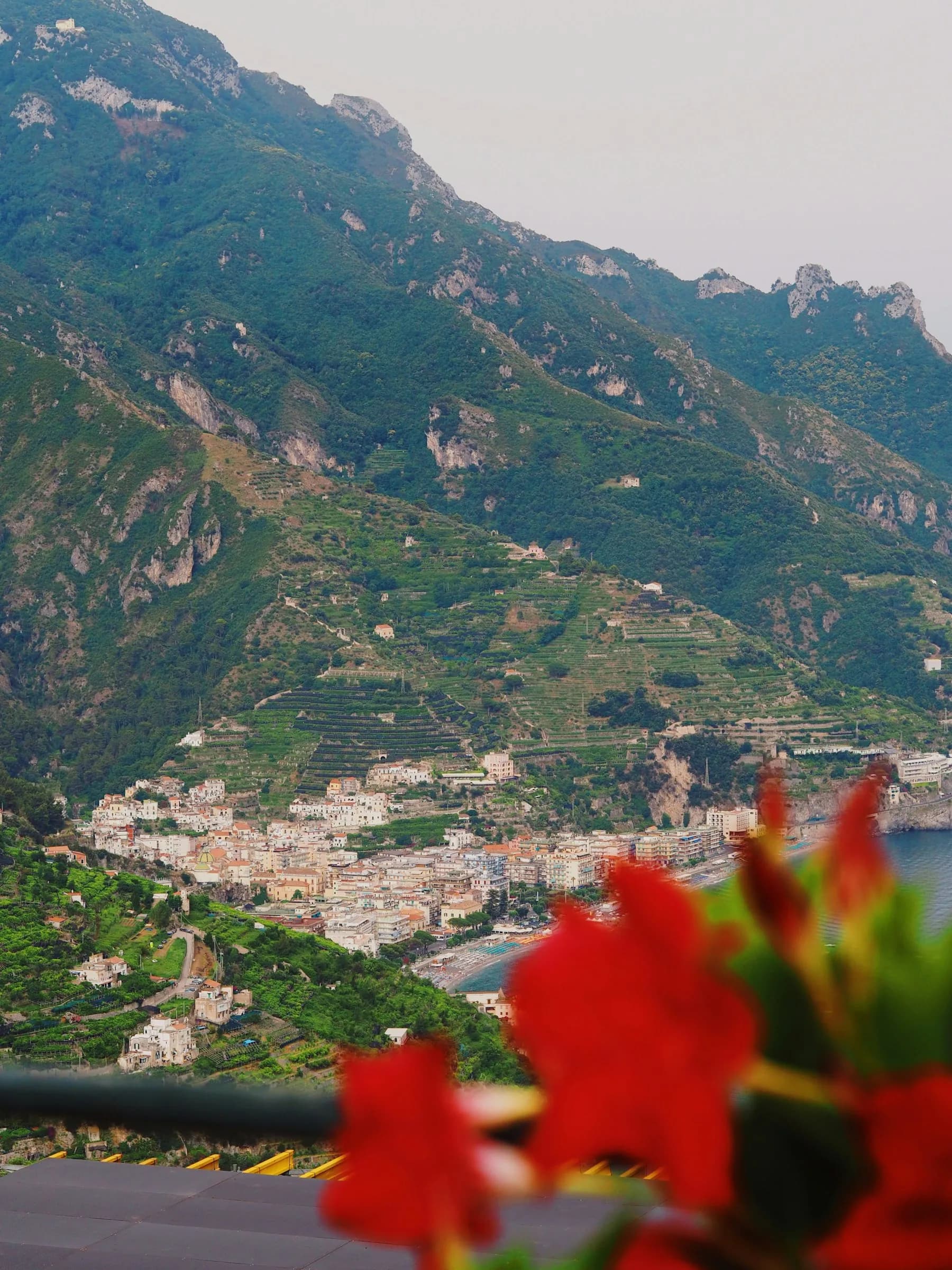 Minori from the road to Ravello, red geraniums in front