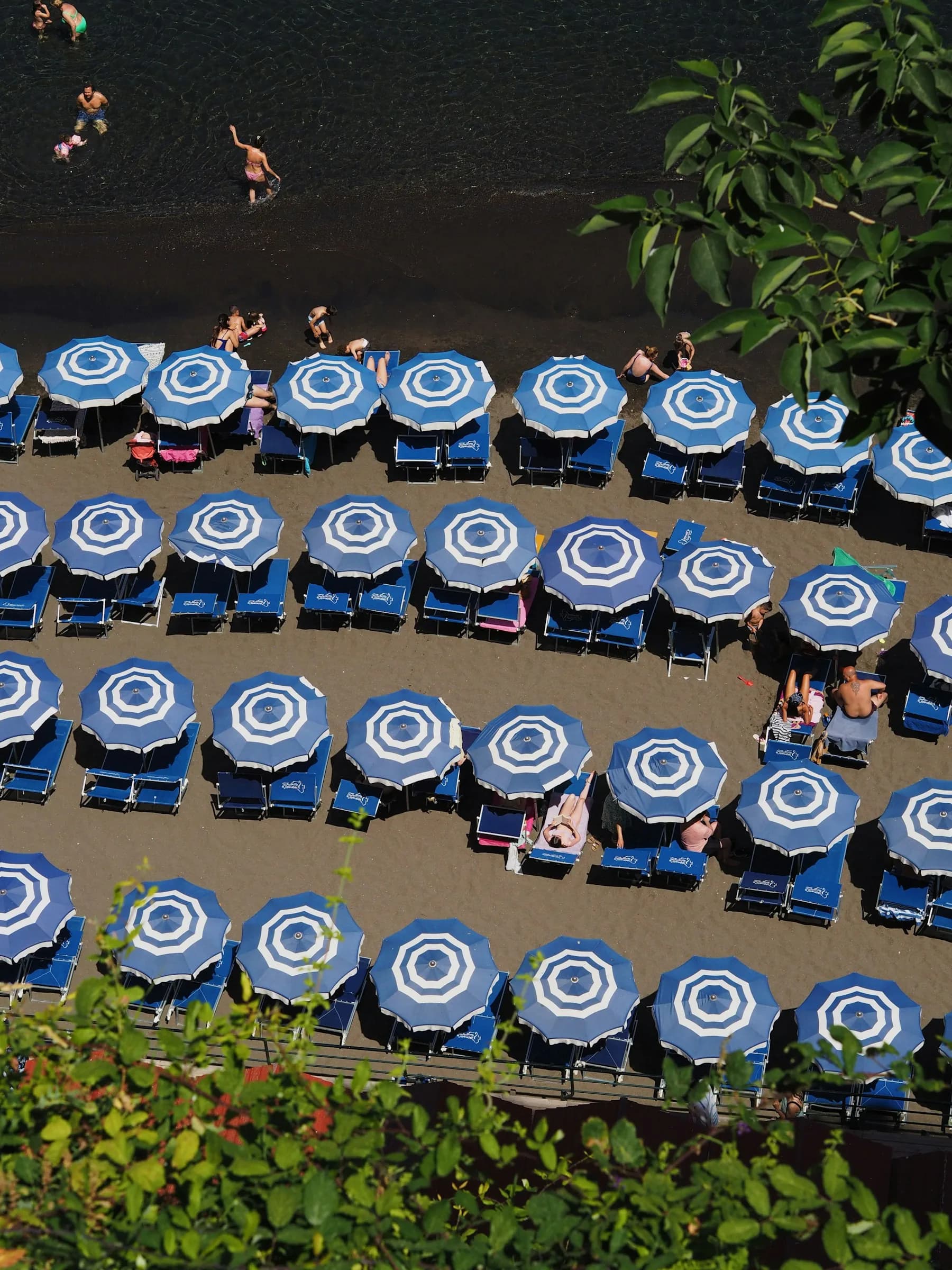 Ombrelloni a righe blu e bianche in file ordinate, dall’alto